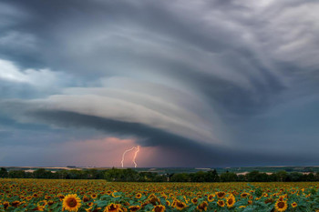 Laminated Preparing for Landing Thunder Clouds Photo Art Print Poster Dry Erase Sign 36x24