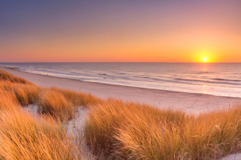 Laminated Dunes Beach At Sunset Texel Island The Netherlands Photo Poster Dry Erase Sign 36x24