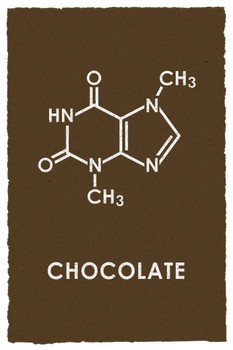 Chocolate Theobromine Molecule Science Brown Funny Cool Wall Art Print Poster 12x18