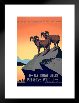 National Parks Preserve Wild Life Retro Vintage WPA Art Project Matted Framed Wall Art Print 20x26