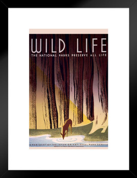 National Parks Wild Life Nature Retro Vintage WPA Art Project Matted Framed Wall Art Print 20x26