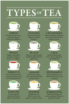 Tea Drink Types Chart Poster Health Benefits Diagram Varieties Infographic Like Coffee Drinking Kitchen Cafe Decoration Green Color Cool Huge Large Giant Poster Art 36x54