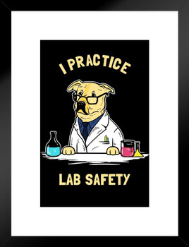 I Practice Lab Safety Labrador Dog Funny Parody LCT Creative Matted Framed Art Print Wall Decor 20x26 inch