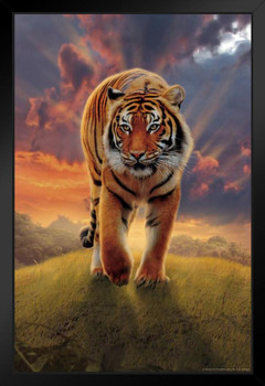 Rising Tiger by Vincent Hie Animal Tiger Art Print Tiger Pictures Wall Decor Tiger Stripe Print Jungle Animal Art Print Tiger Whiskers Decor Pictures of Tigers Black Wood Framed Art Poster 14x20