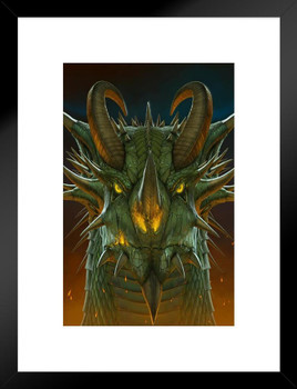 Dragon Face Portrait by Vincent Hie Matted Framed Art Print Wall Decor 20x26 inch