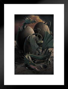 Dragon Offspring Hatching Shells by Vincent Hie Matted Framed Art Print Wall Decor 20x26 inch
