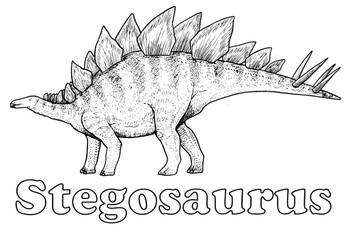 Stegosaurus Dinosaur Coloring Poster For Kids Family Activity Science Color Your Own Cool Wall Decor Art Print Poster 24x36