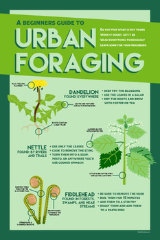 Laminated Urban Foraging Beginners Guide Edible Wild Plants Cooking Organic Leaves Nature Gardening Farming Survival Poster Dry Erase Sign 24x36