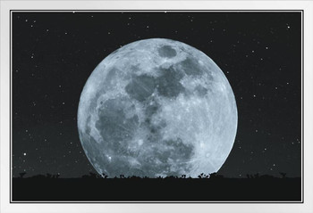 Full Moon At Night With Stars Silhouette Grass Lawn Photo White Wood Framed Poster 20x14