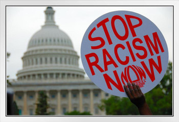 Stop Racism Now Protest Sign US Capitol Photo Photograph White Wood Framed Poster 20x14