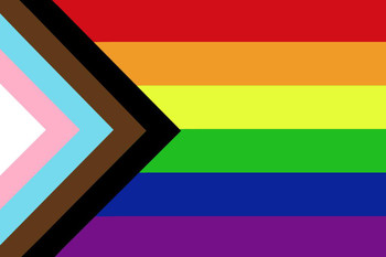 Pride Flag Black Brown LGBTQIA Pride Rainbow Flag Black Lives Matter BLM Trans Pride Cool Huge Large Giant Poster Art 36x54