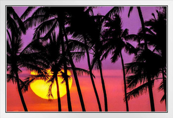 Sunset at Ala Moana Beach Park Oahu Hawaii Photo Photograph Palm Landscape Pictures Ocean Scenic Scenery Tropical Nature Photography Paradise Scenes White Wood Framed Art Poster 20x14