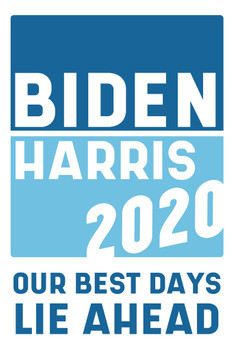 Biden Harris 2020 Sign For President Our Best Days Lie Ahead Vote Democrat Presidential Election Campaign Cool Wall Decor Art Print Poster 12x18