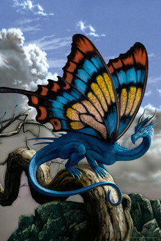 Laminated Drakerfly Monarch Butterfly Dragon by Ciruelo Artist Painting Fantasy Poster Dry Erase Sign 24x36