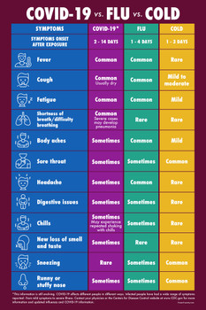 Virus Flu Cold Symptoms Comparison Chart Cool Wall Art Print Poster 12x18