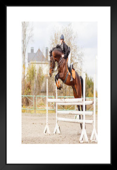 Young Female Rider Jumping Over Hurdle Poster Horse Pictures Wall Decor Horse Poster Print Horse Breed Poster Running Posters For Girls Horse Picture Wall Art Matted Framed Art Wall Decor 20x26