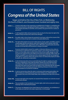 Bill Of Rights Of The United States Of America Historical Document Readable Blue Color Historical American Patriotic Black Wood Framed Art Poster 14x20