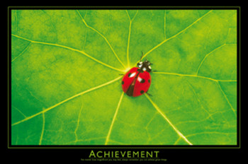 Achievement Ladybug Motivational Cool Wall Decor Art Print Poster 36x24