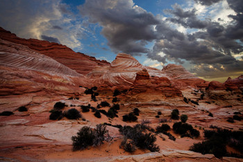 Wavy Desert Photo Photograph Cool Wall Art Print Poster 18x12