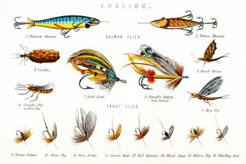 Angling Salmon and Trout Flies Illustration Cool Wall Art Print Poster 18x12
