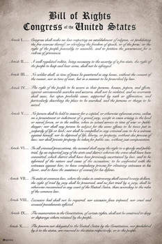 Bill of Rights Remastered Readable Version Ten Constitutional Amendments United States America Historical Document Educational History Politics Classroom Stretched Canvas Art Wall Decor 16x24