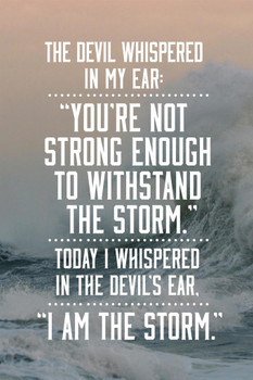 Laminated I Am The Storm Quote Ocean Sea Photo Motivational Inspirational Teamwork Inspire Quotation Gratitude Positivity Support Motivate Sign Good Vibes Carpe Diem Poster Dry Erase Sign 24x36