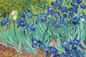 Laminated Vincent Van Gogh Irises Flower Poster 1890 Dutch Post Impressionist Landscape Painting Nature Poster Dry Erase Sign 36x24