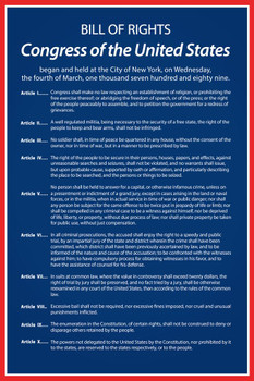 Bill Of Rights Of The United States Of America Historical Document Readable Blue Color Historical American Patriotic Thick Paper Sign Print Picture 8x12