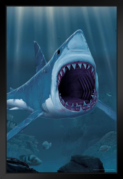 Great White Shark Bite Huge Jaws by Vincent Hie Shark Posters For Walls Shark Pictures Cool Great White Shark Picture Great White Shark Art Black Wood Framed Art Poster 14x20