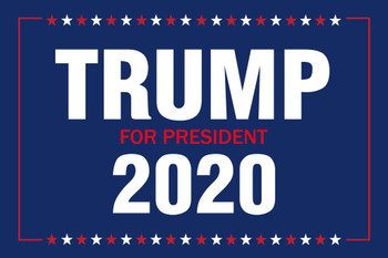 Vote Trump For President 2020 Presidential Election Thick Paper Sign Print Picture 12x8