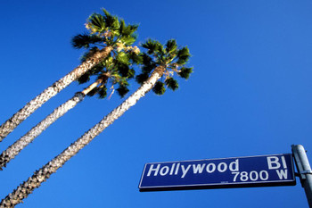 Hollywood Boulevard Street Sign and Palm Trees Los Angeles California Photo Photograph Thick Paper Sign Print Picture 12x8