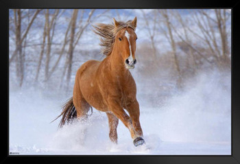 Brown Horse In Snow Girls Bedroom Decor Cute Animal Western Country Black Wood Framed Art Poster 14x20