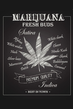 Marijuana Fresh Buds Premium Quality Chalkboard Cool Wall Decor Art Print Poster 12x18