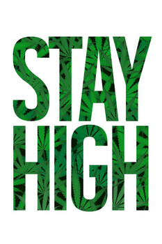 Stay High Marijuana Cannabis Bud Pot Joint Weed Ganja Blunt Humor White With Leaves Stretched Canvas Wall Art 16x24 inch