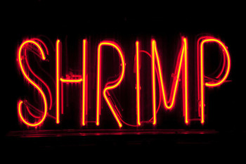 Shrimp Neon Sign Illuminated Photo Print Stretched Canvas Wall Art 24x16 inch