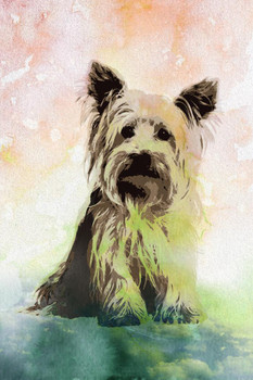 Dogs Yorkshire Terrier Painting Color Puppy Posters For Wall Dog Wall Art Dog Wall Decor Puppy Posters For Kids Bedroom Animal Wall Poster Cute Animal Posters Stretched Canvas Art Wall Decor 16x24