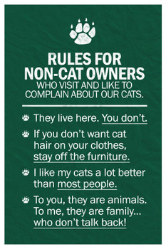 Cat Rules For Non Cat Owners Cat Poster Funny Wall Posters Kitten Posters for Wall Motivational Cat Poster Funny Cat Poster Inspirational Cat Poster Stretched Canvas Art Wall Decor 16x24