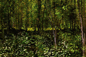 Vincent Van Gogh Trees and Undergrowth Forest Van Gogh Wall Art Impressionist Painting Style Nature Forest Wall Decor Landscape Night Poster Trail Decor Fine Art Stretched Canvas Art Wall Decor 16x24