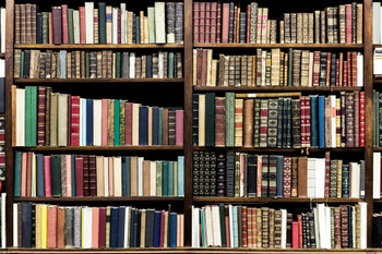 Old books in a library Stretched Canvas Wall Art 16x24 inch