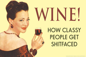Wine! How Classy People Get Shtfaced Humor Stretched Canvas Art Wall Decor 24x16