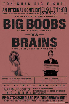 Big Boobs vs. Brains College Humor Stretched Canvas Art Wall Decor 16x24