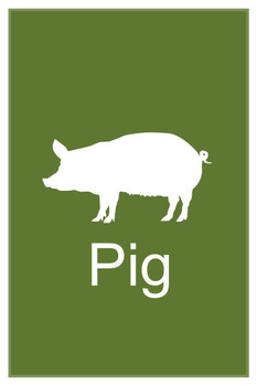 Farm Animals Pig Silhouette Classroom Learning Aids Barnyard Farming Green Stretched Canvas Wall Art 16x24 inch