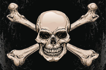 Skull Crossbones Pirates Symbol Warning Sign Poster Artistic Drawing Illustration Human Skeleton Death Cool Wall Decor Art Print Poster 18x12