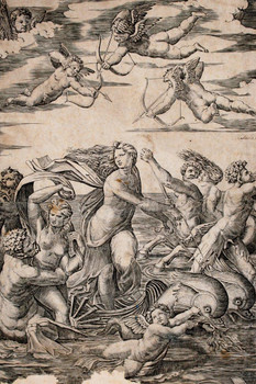Raphael Triumph of Galatea Engraving Angel Realism Romantic Artwork Raffaello Prints Biblical Drawings Portrait Painting Wall Art Renaissance Posters Canvas Art Stretched Canvas Art Wall Decor 16x24