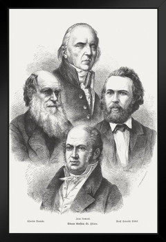Proponents of Darwinism Charles Darwin 1873 Engraving Art Print Stand or Hang Wood Frame Display Poster Print 9x13