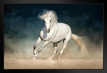 Wild White Andalusian Horse Animal Wild Horses Decor Galloping Horses Wall Art Horse Poster Print Poster Horse Pictures Wall Decor Running Horse Breed Poster Black Wood Framed Art Poster 14x20