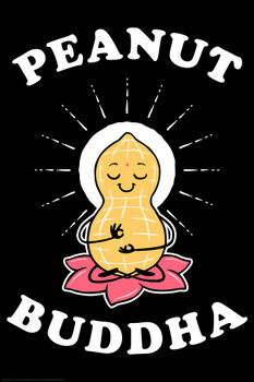 Peanut Buddha Funny Stretched Canvas Art Wall Decor 16x24