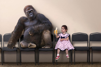 Little Girl Offering Banana to Gorilla Pictures Of Gorillas Poster Primate Poster Gorilla Picture Paintings For Living Room Decor Nature Wildlife Art Print Stretched Canvas Art Wall Decor 24x16