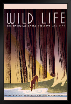 National Parks Wild Life Nature Retro Vintage WPA Art Project Art Print Stand or Hang Wood Frame Display Poster Print 9x13
