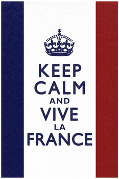 Keep Calm and Vive La France Flag Print Stretched Canvas Wall Art 16x24 inch
